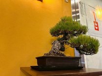 �ω����O�����h�z�e��